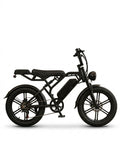 E Bike V20